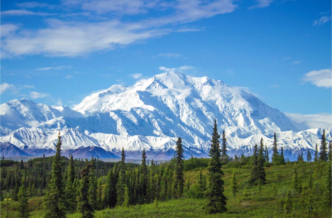 early morning view of mount denali