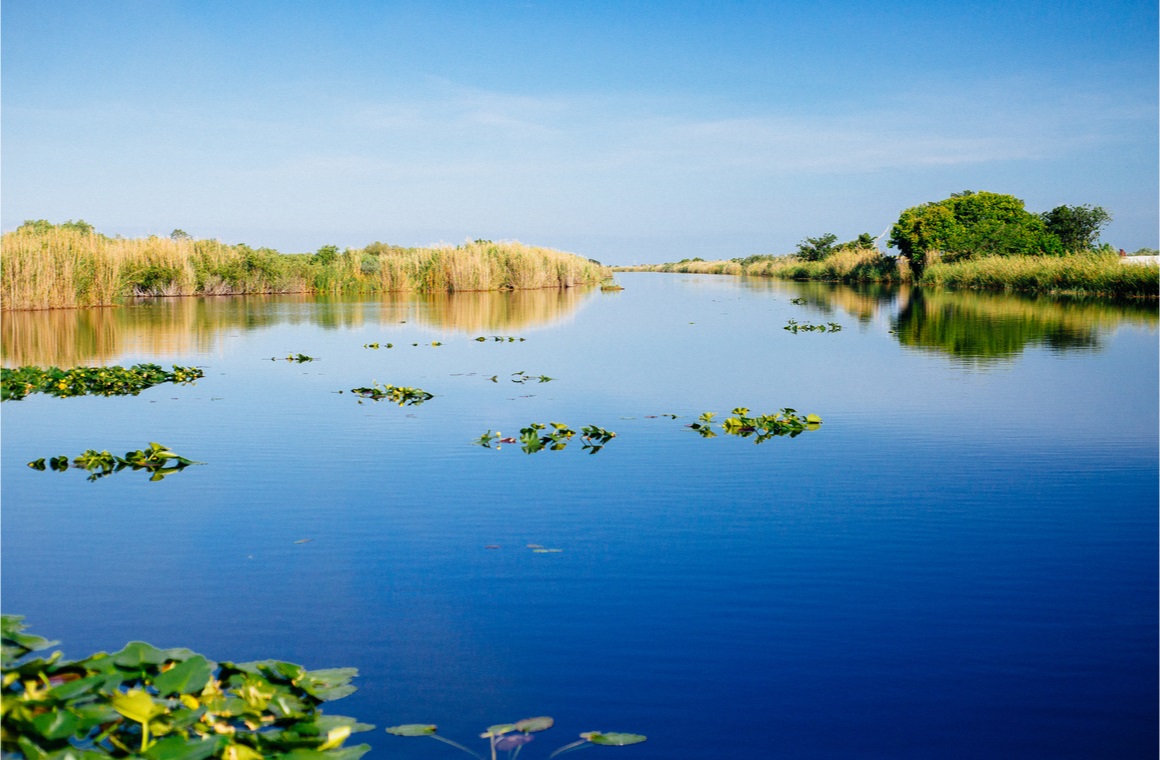 everglades lake