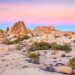 joshua tree national park