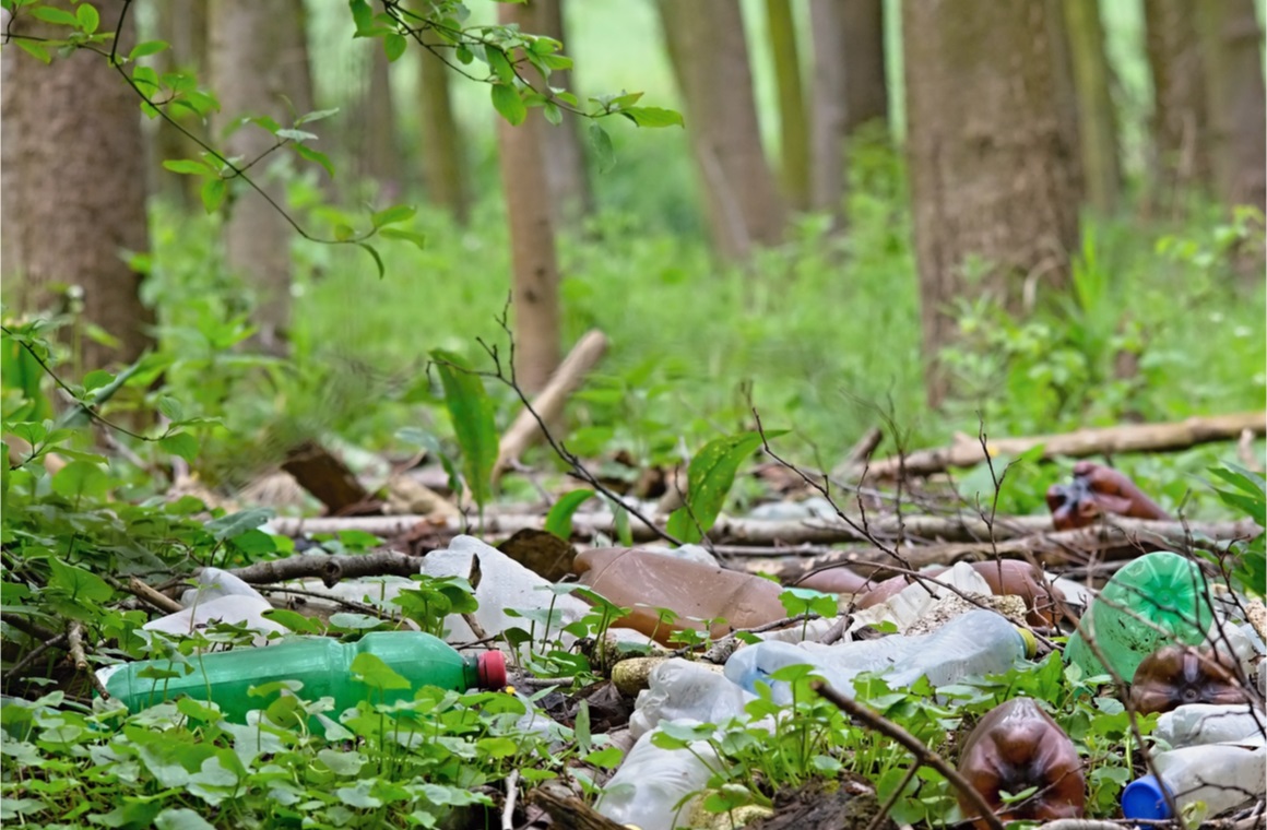 nature pollution of plastic bottles