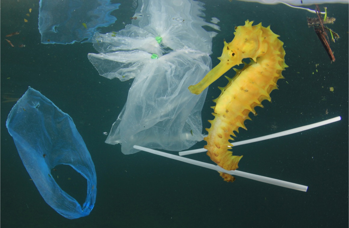 plastic pollution in ocean