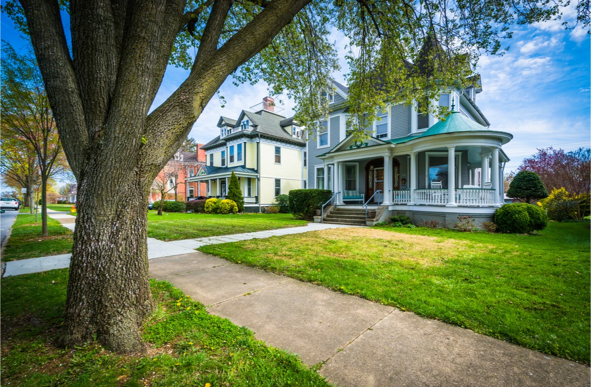 tree and houses on clarke place maryland