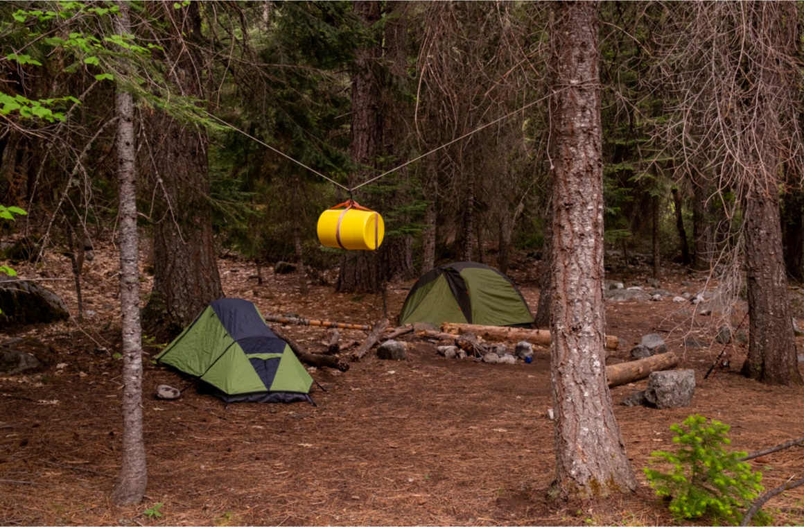 two tents camping in a pine terrain with a yellow bear proof