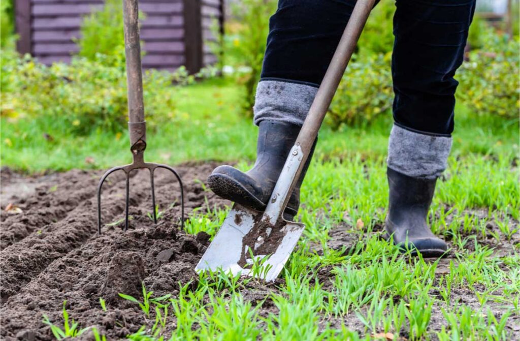 Gardener digging in the garden