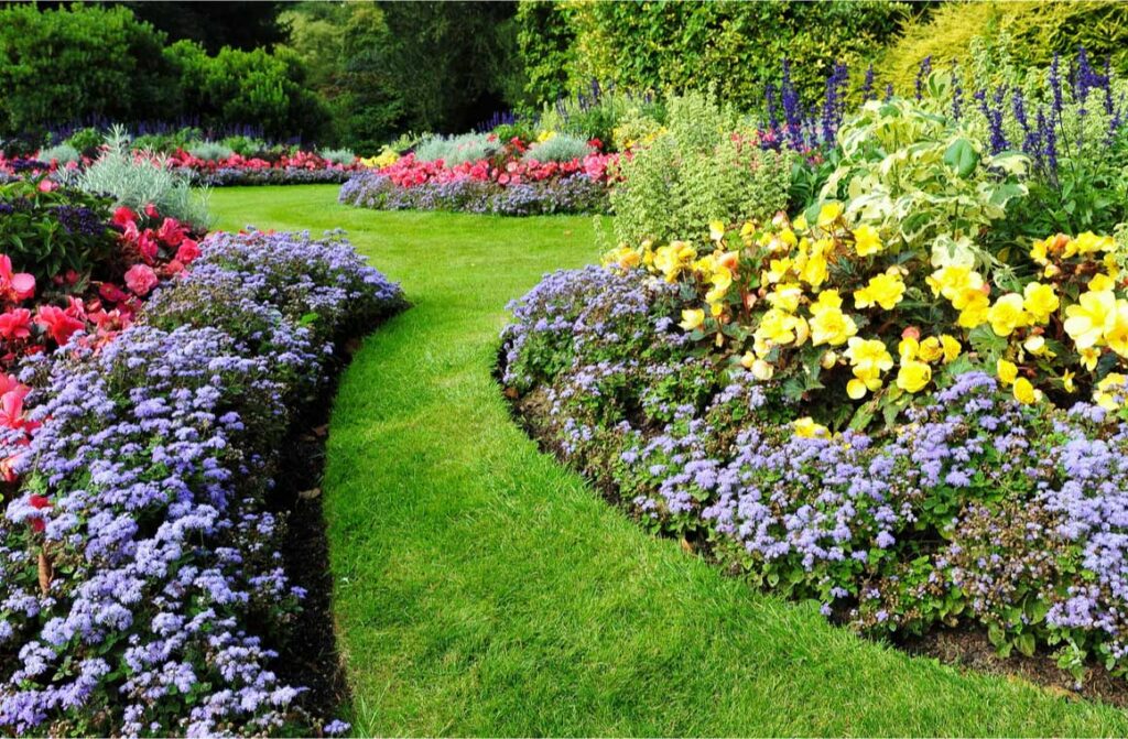 Scenic view colorful flowerbeds