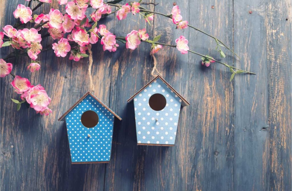 Two bird houses hang on spring tree