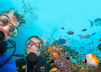 couple scuba divers looking camera