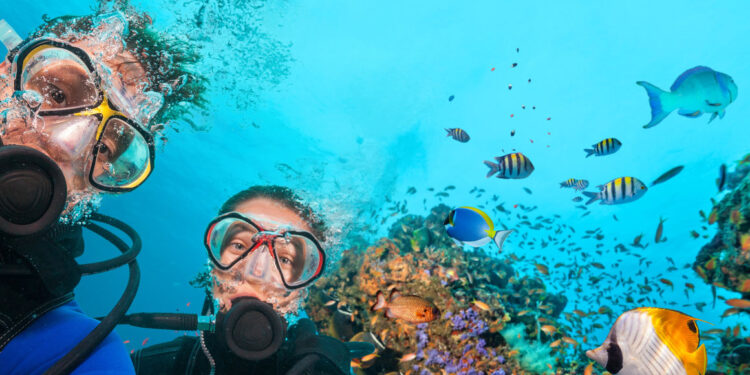 couple scuba divers looking camera