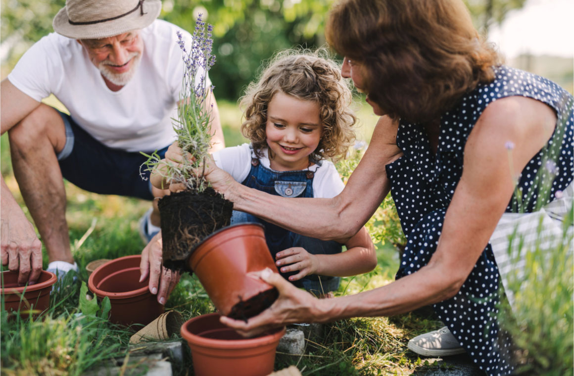 senior grandparents granddaughter gardening backyard