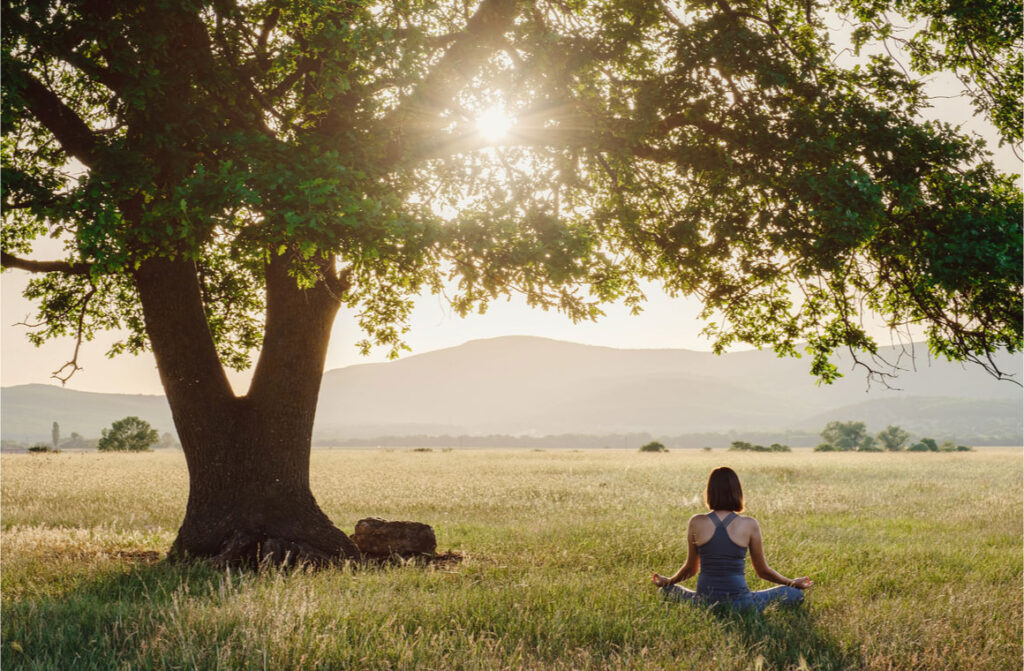 Attractive woman practices yoga in nature