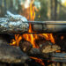 Campfire Cooking Ideas for Your Next Outdoor Adventure