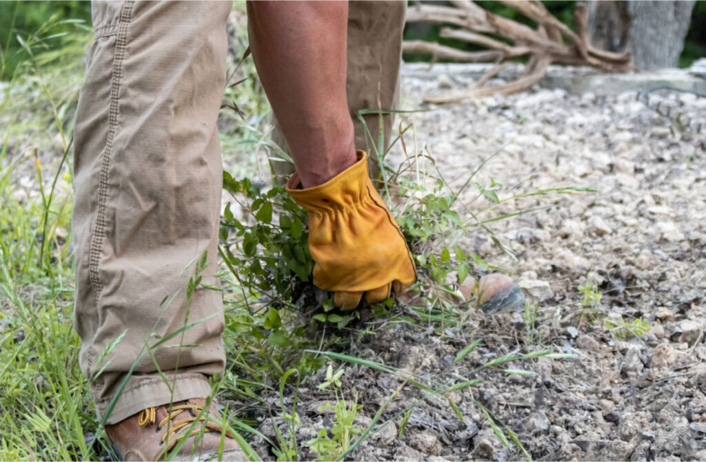 Man preparing his yard