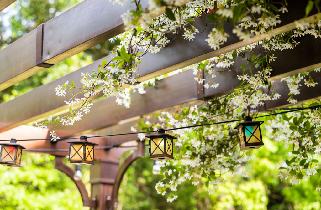 patio outdoor spring garden backyard