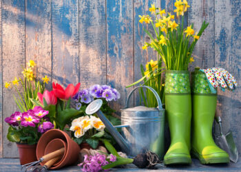 gardening tools flowers on terrace garden