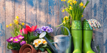 gardening tools flowers on terrace garden