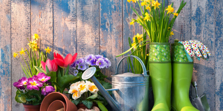 gardening tools flowers on terrace garden
