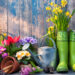 gardening tools flowers on terrace garden
