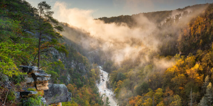 georgia usa overlooking gorge
