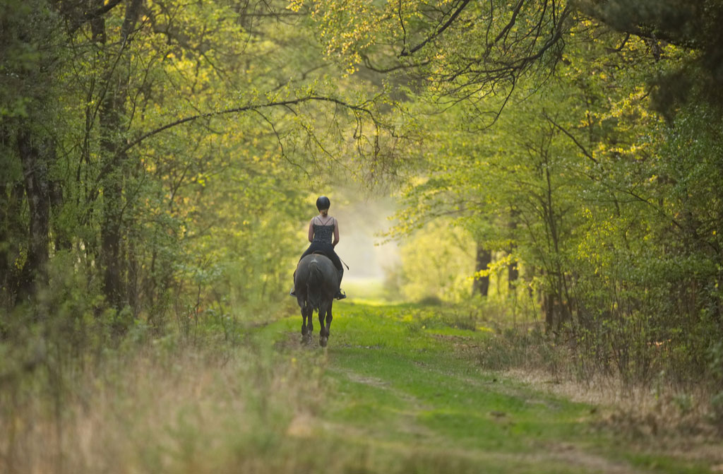 women riding horse in the nature