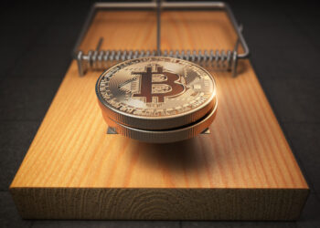 bitcoins mouse trap financial investment