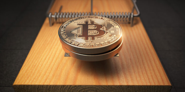 bitcoins mouse trap financial investment