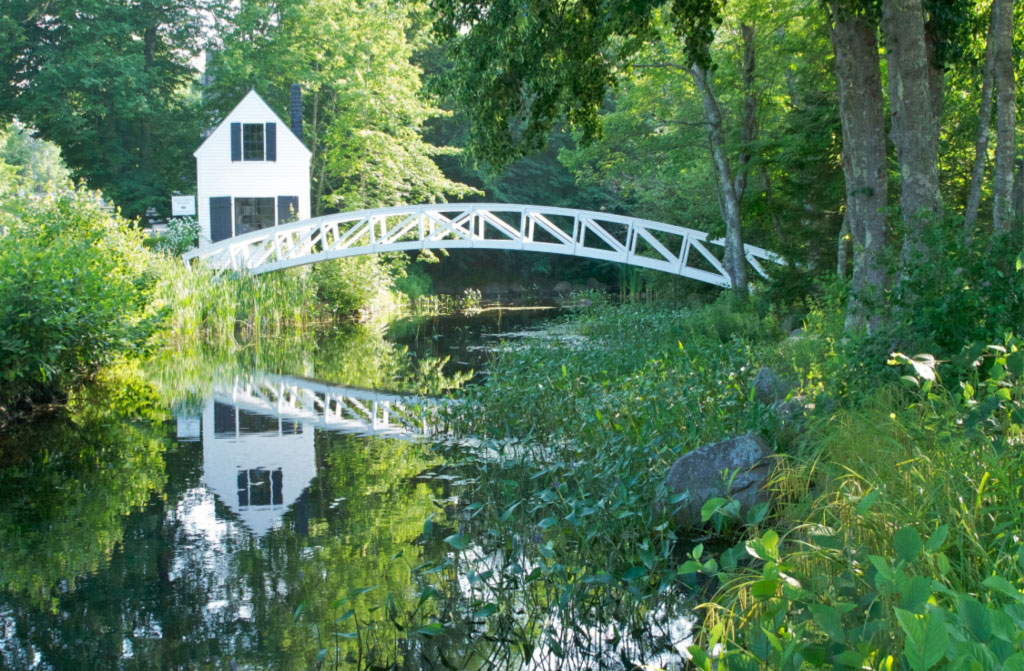 bridge garden