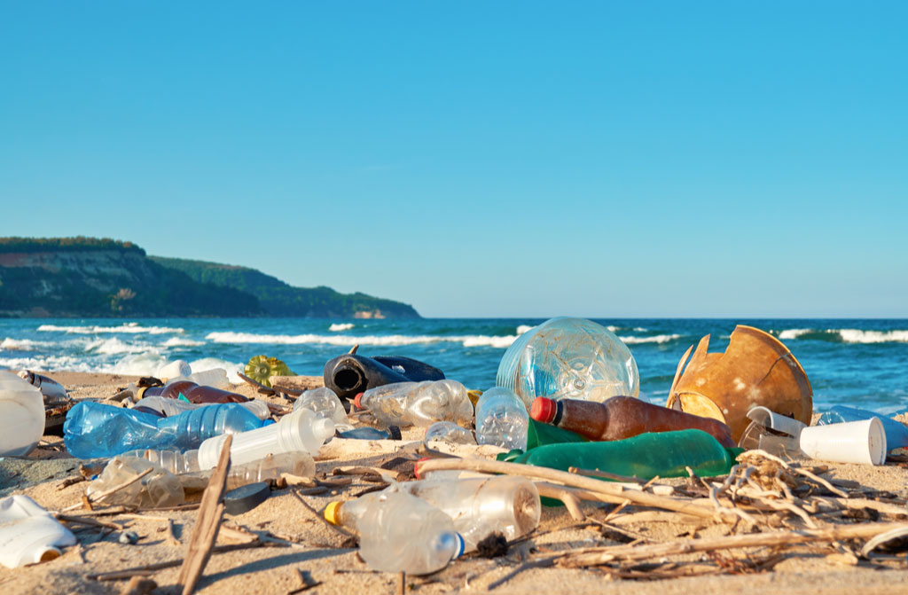 garbage on beach in big city