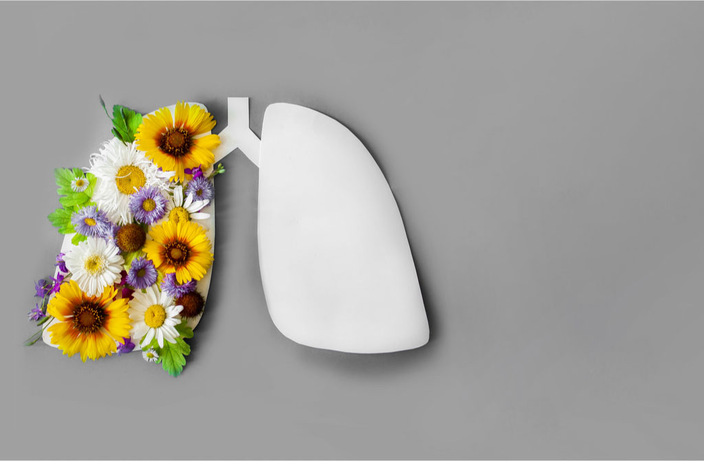 lung flowers leave on grey background