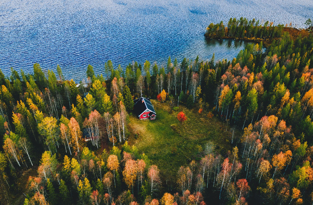 aerial view log cabin in autumn