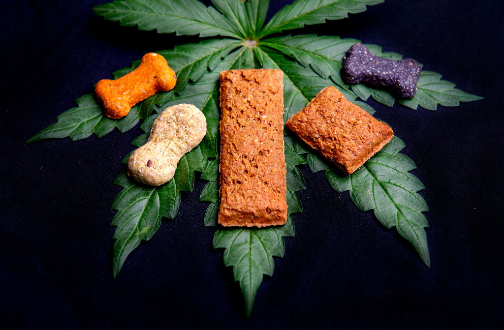 dog treat cannabis leaves