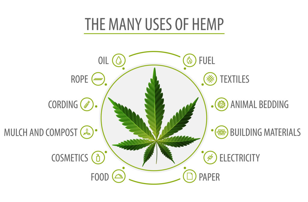 many uses hemp infographic 