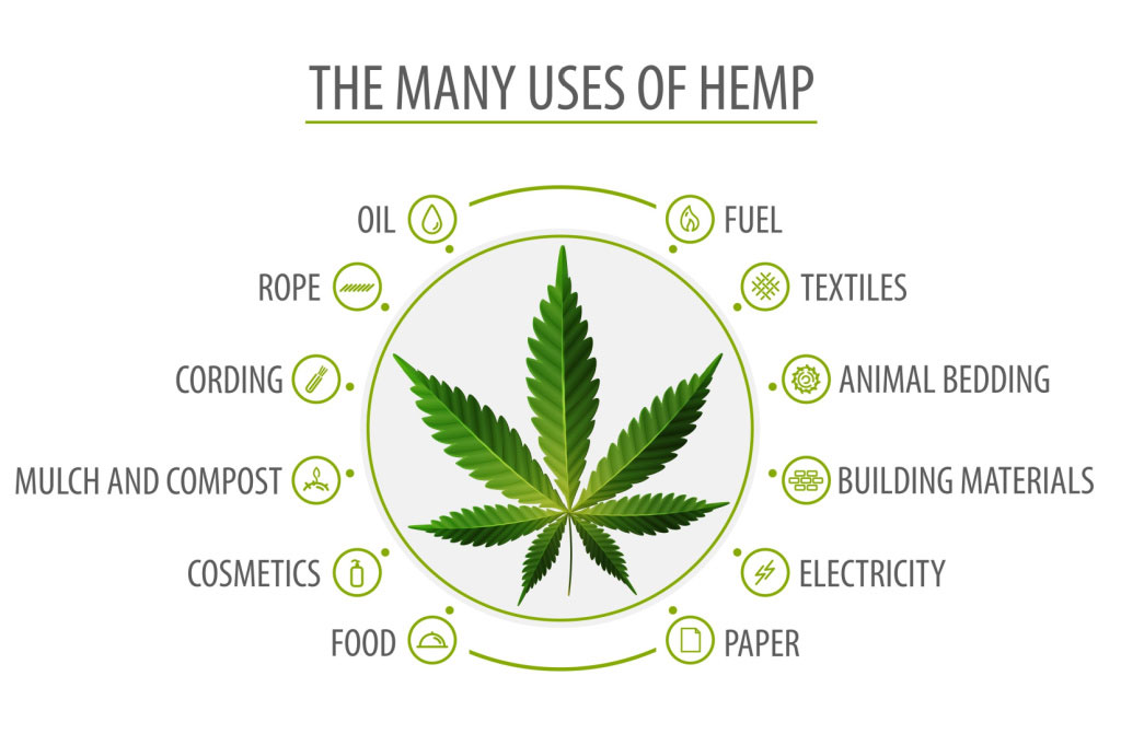 many uses hemp infographic