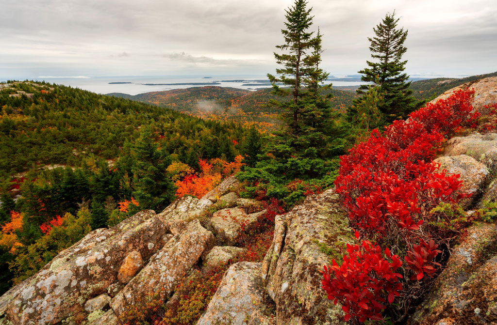 vibrant fall colors