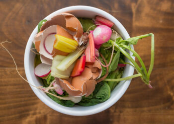 bowl organic food waste like egg