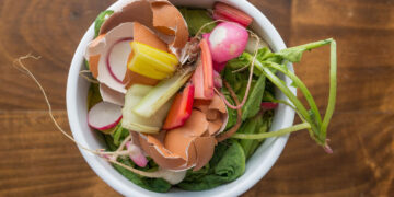 bowl organic food waste like egg