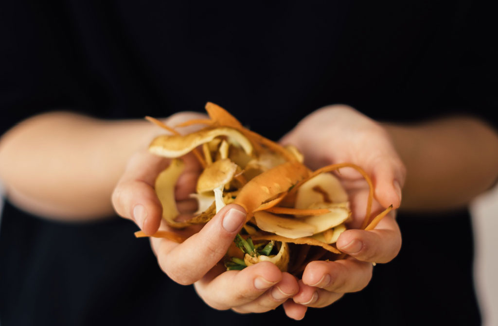 close hands compost vegetable