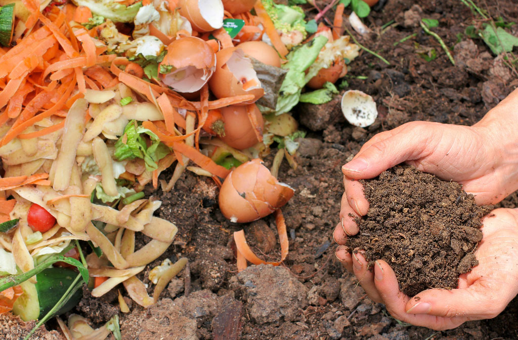 compost composted earth food