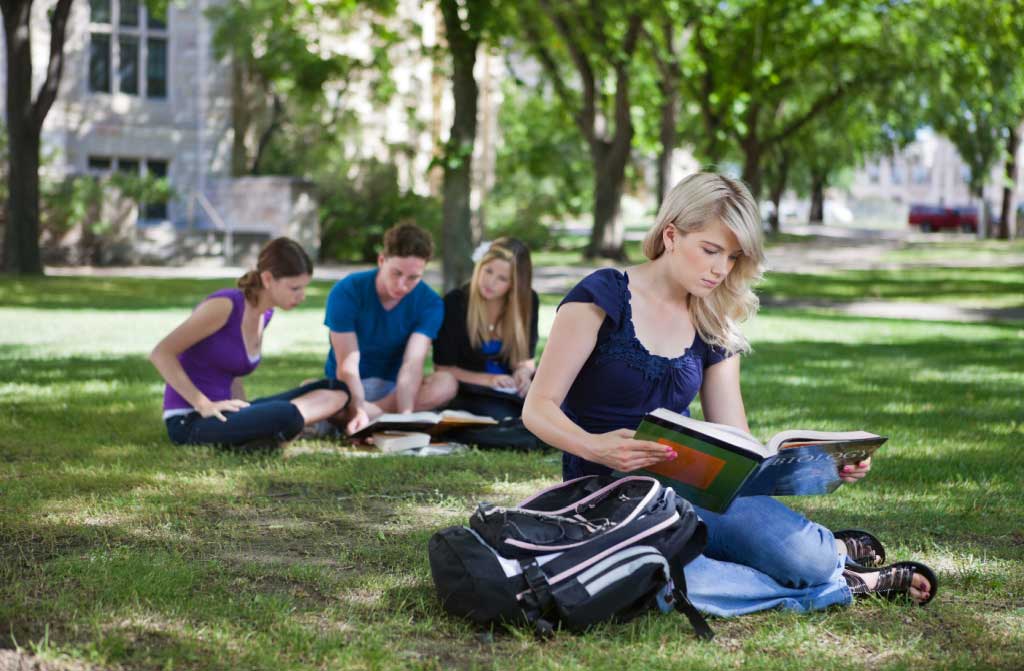 college students studying campus