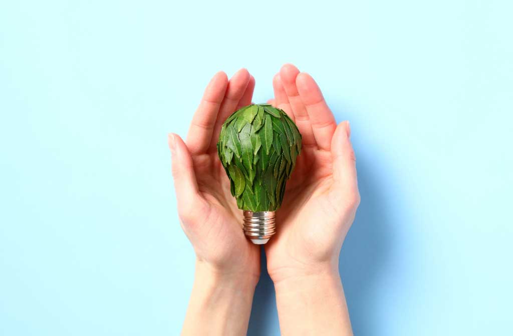 light bulb female hand adorned plant