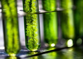 photobioreactor laboratory