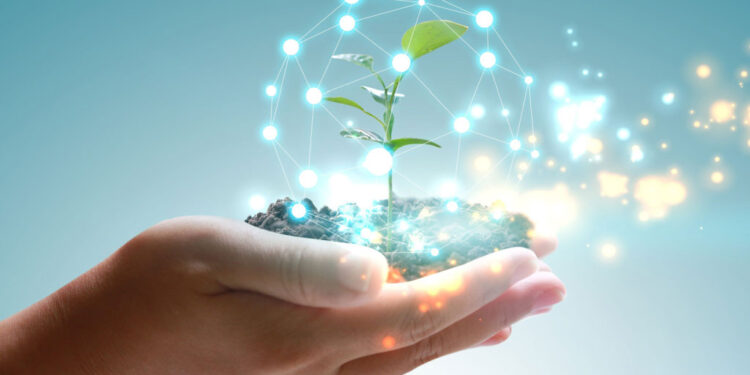 holding globe green plant growing