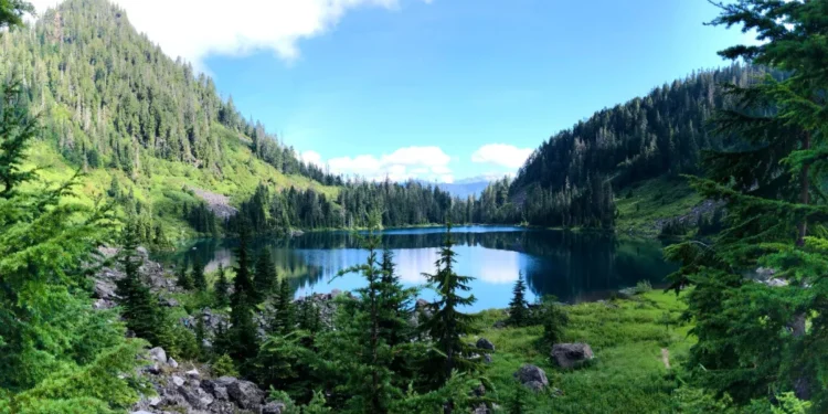 views lake washington state pacific
