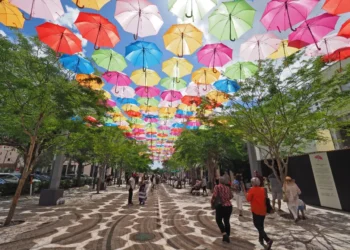 coral gables florida umbrella sky