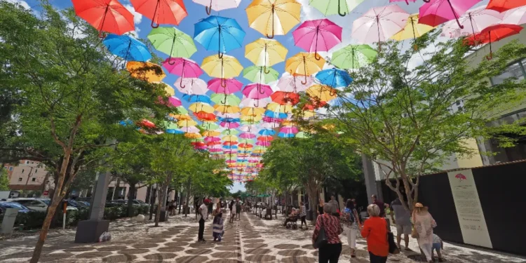 coral gables florida umbrella sky