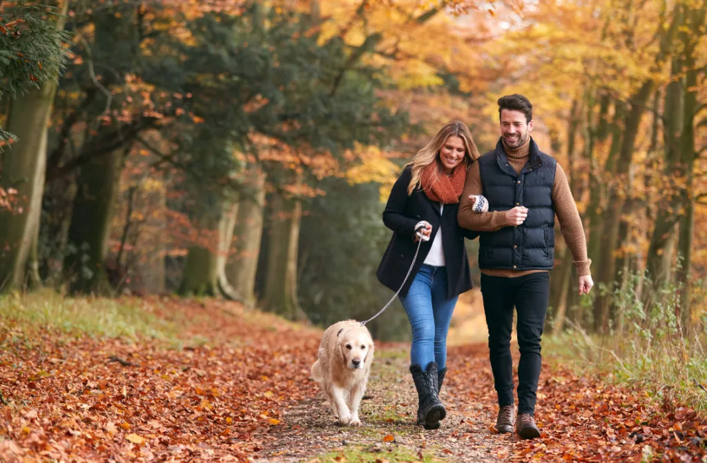 loving couple walking