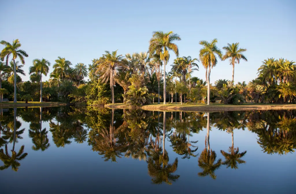 scenic view fairchild tropical botanical view