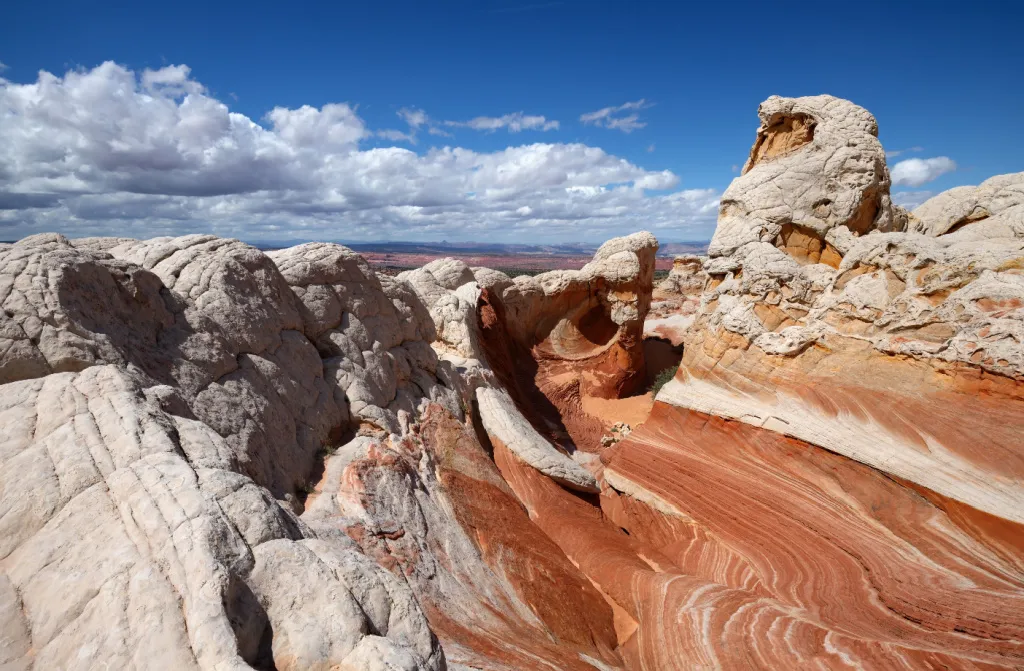 white pocket cliffs national park