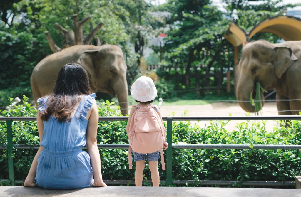 happy mother and daughter watching feeding elephant