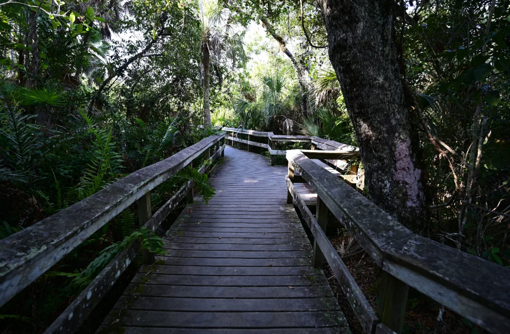 mahogany hammock boardwalk