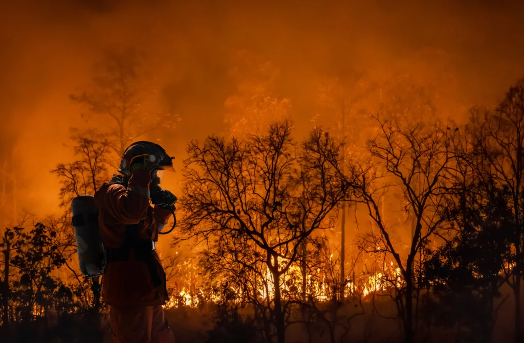 firefighters battle wildfire